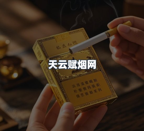 关于天云赋烟网